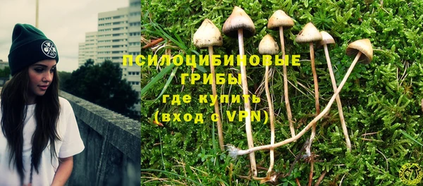 Альфа ПВП Абаза