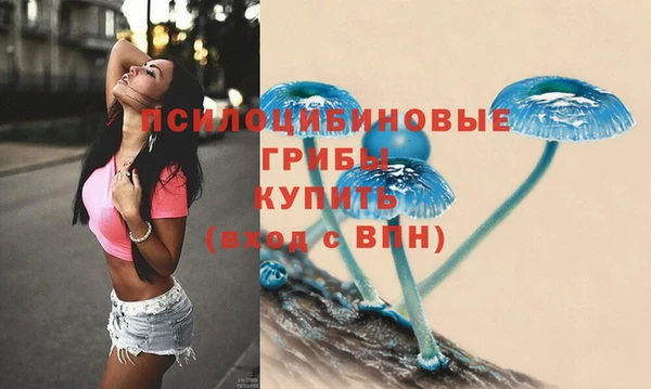 Альфа ПВП Абаза