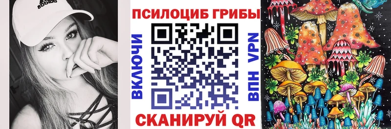 где продают   Карталы  Псилоцибиновые грибы Psilocybine cubensis 