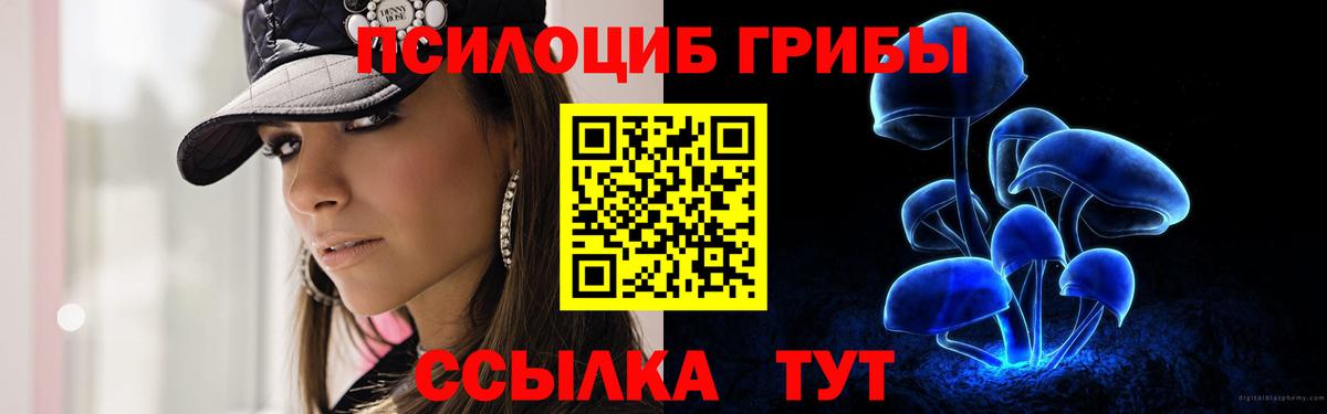 Псилоцибиновые грибы Psilocybe Карталы